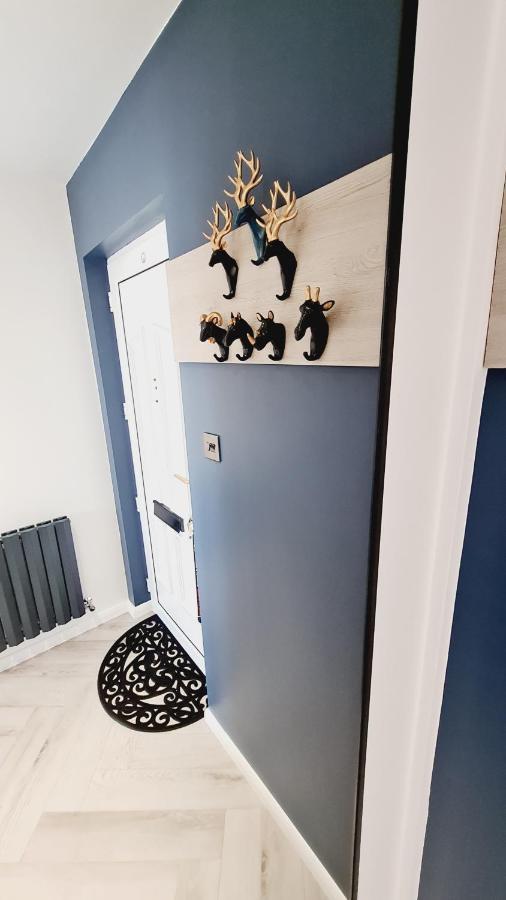 Ferienwohnung Beautiful 2Bed House With Garden, Walking Distance To Town - Free Parking Glasgow Exterior foto